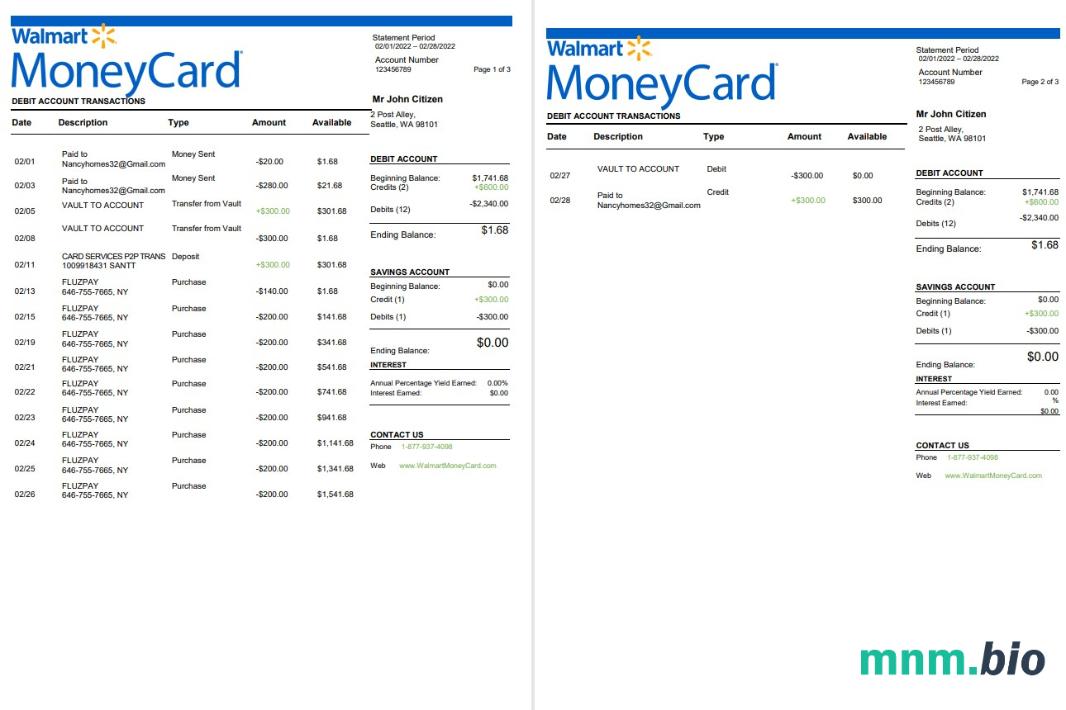 USA Walmart Money Card statement Word i szablon PDF, Wersja 2 scr